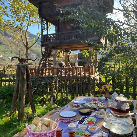 리제 Zeni De Vore Serender & House 아파트 호텔 외부 사진