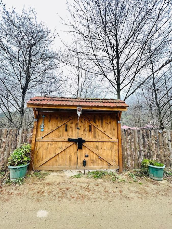 리제 Zeni De Vore Serender & House 아파트 호텔 외부 사진